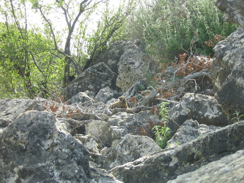 Upper Galilee 153