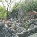 Upper Galilee 153
