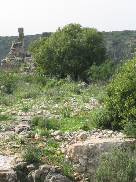 Upper Galilee 157