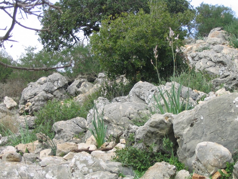 Upper Galilee 160