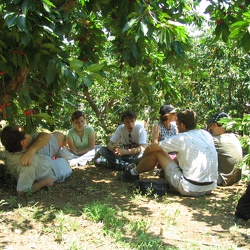 Bustan Ha-Golan, 4-Jun-2005