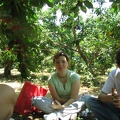 Bustan 011