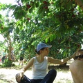 Bustan 012