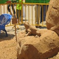 Sculptures 010
