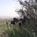 Netanya 015