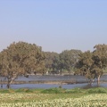Netanya 004