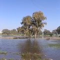 Netanya 006.jpg