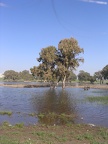 Netanya 006