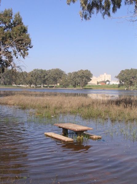Netanya 008