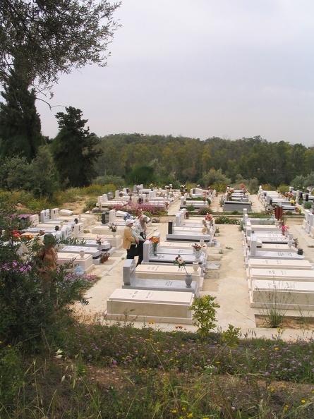 Givat-Brener 003