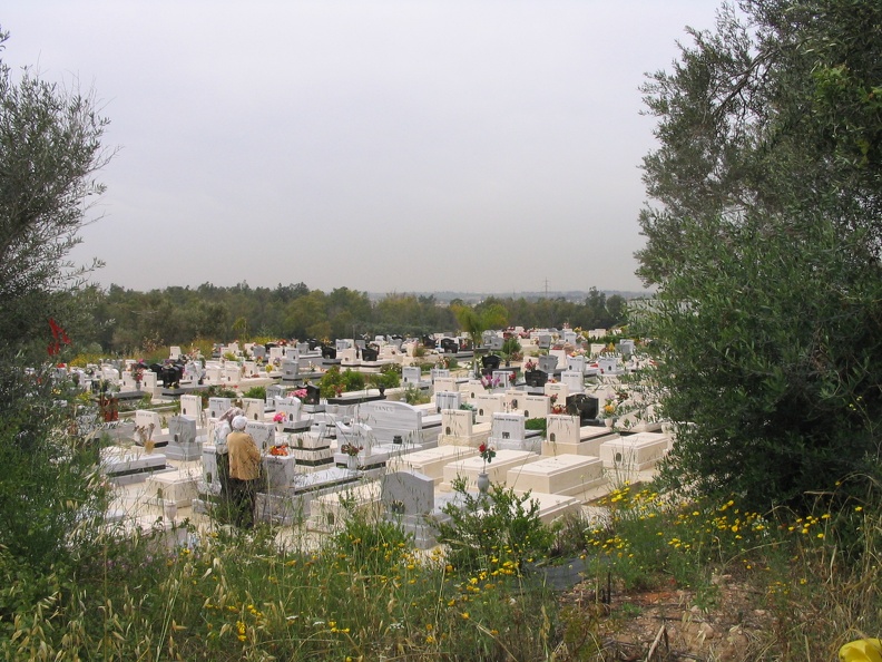 Givat-Brener 005