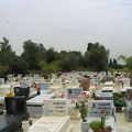 Givat-Brener 006