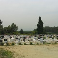 Givat-Brener 007