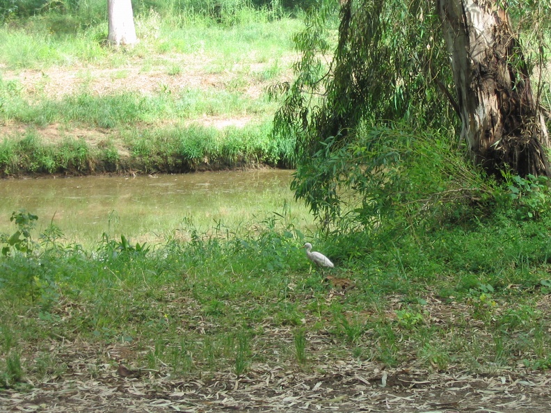 Yarkon Park 004