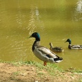 Yarkon Park 010