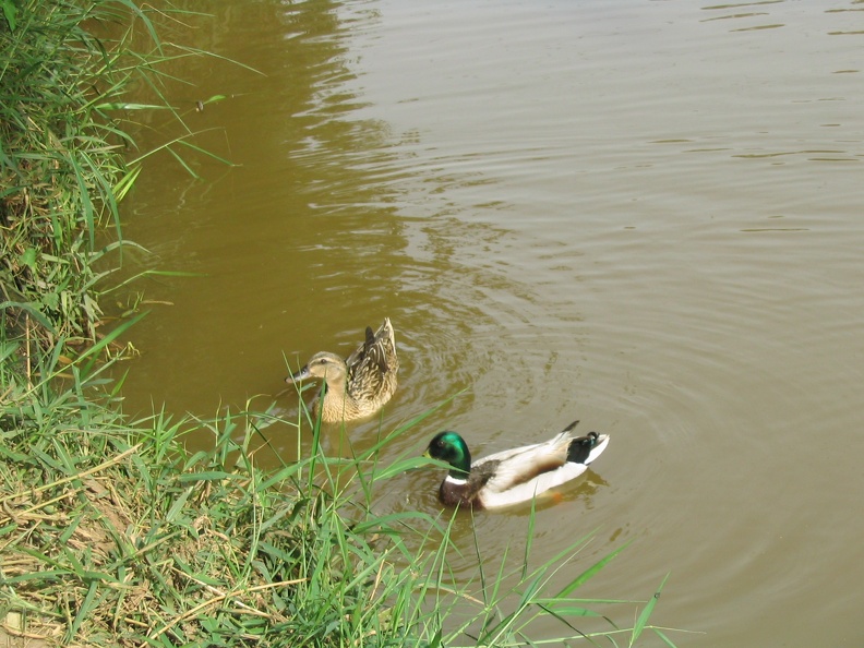 Yarkon Park 014