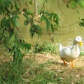 Yarkon Park 023