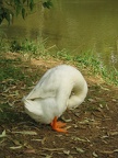 Yarkon Park 027