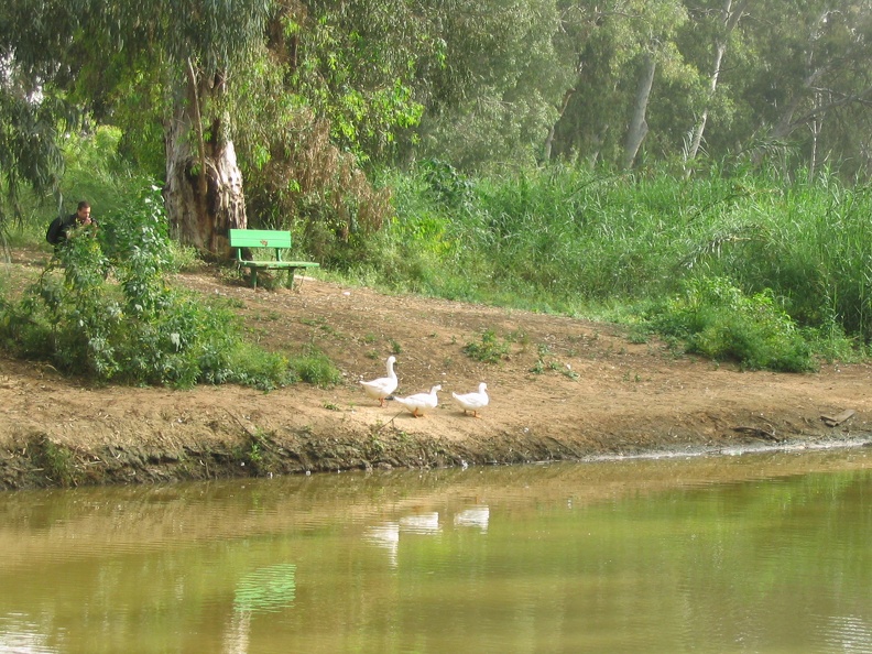 Yarkon Park 028