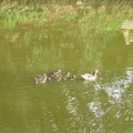 Yarkon Park 035