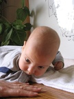 Meir 006