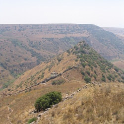 Day 2 - Gamla