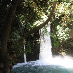 Day 4 - Banias & Dan
