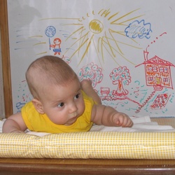 09-Jun-2006 Позируем на столе