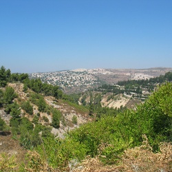 Jerusalem Zoo, 6-Aug-2006