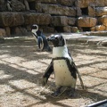 Zoo 016.jpg