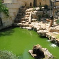 Zoo 029