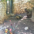 Zoo 033