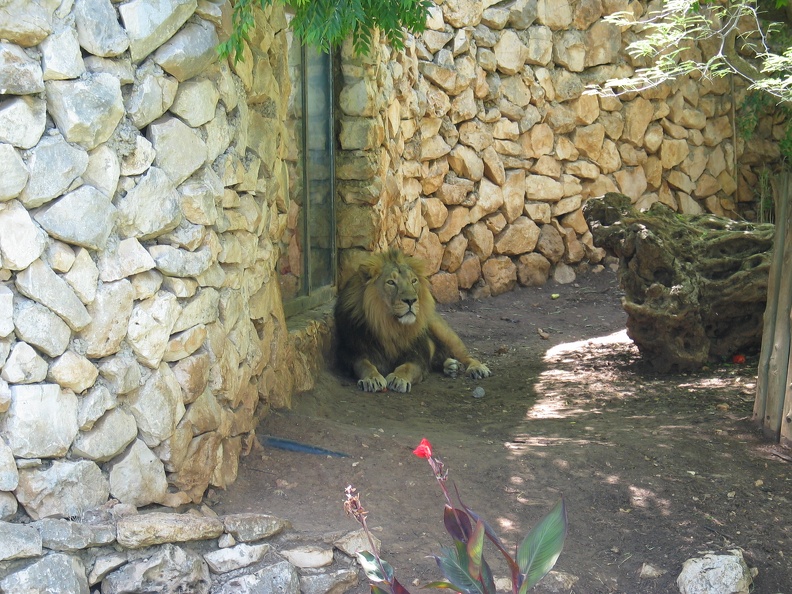 Zoo 037
