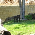 Zoo 045.jpg
