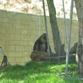 Zoo 048.jpg