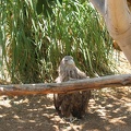 Zoo 051.jpg
