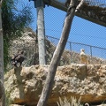 Zoo 054.jpg