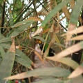 Zoo 060.jpg