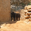 Zoo 062.jpg