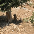 Zoo 066.jpg