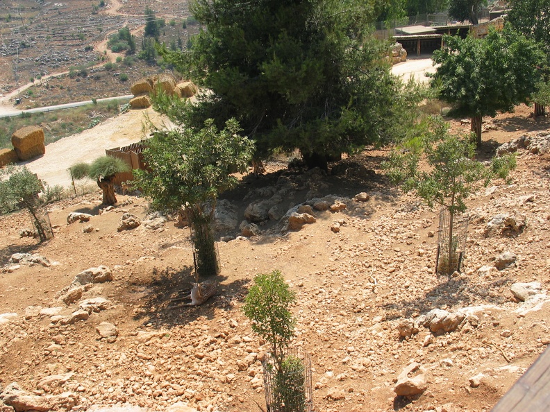 Zoo 069.jpg