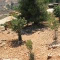Zoo 069.jpg