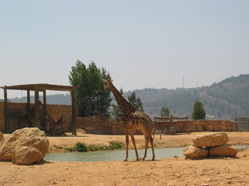 Zoo 077.jpg