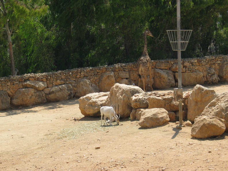 Zoo 078.jpg