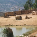 Zoo 079.jpg