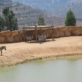 Zoo 080.jpg