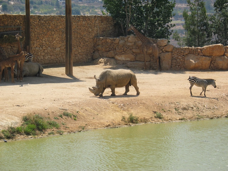 Zoo 082.jpg
