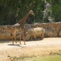Zoo 084.jpg
