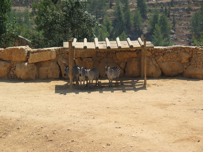 Zoo 088.jpg