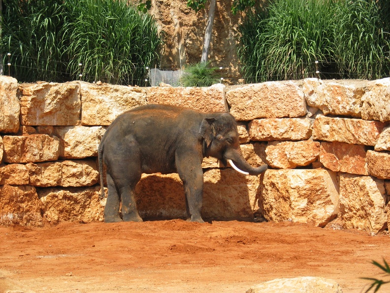 Zoo 089.jpg